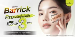 Barrick Pro