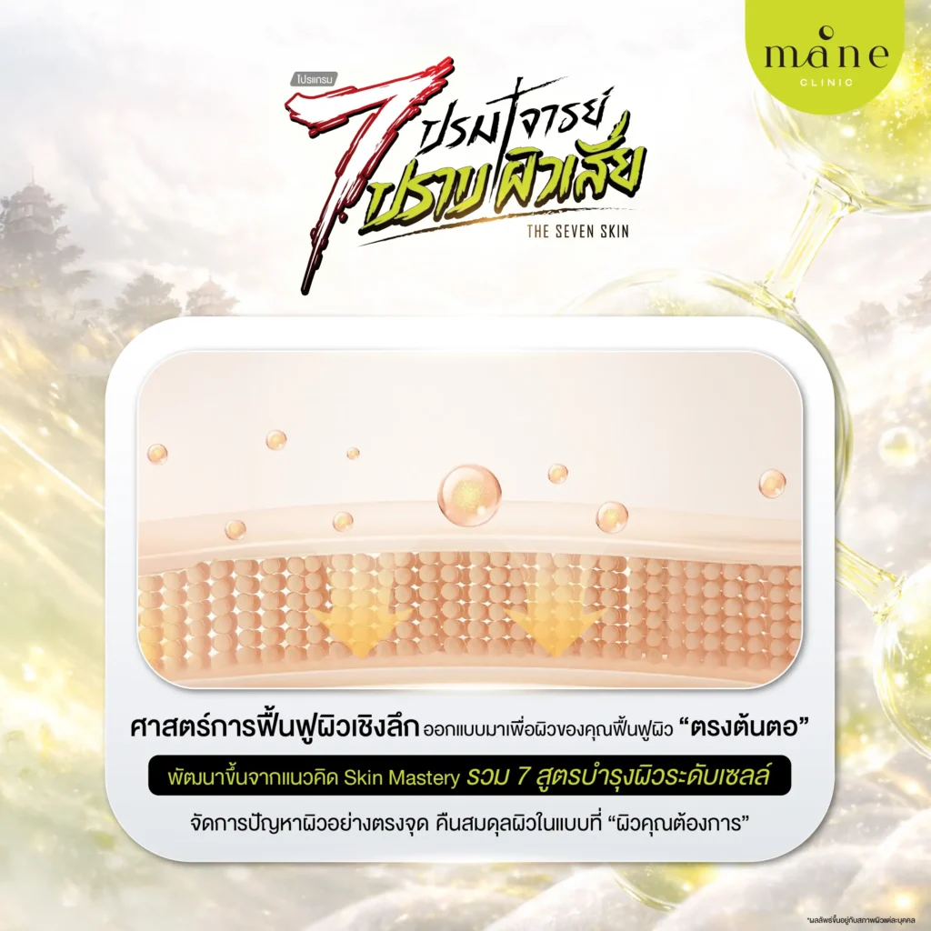 โปรแกรม The Seven Skin คืออะไร?